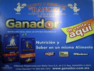 anuncios luminosos cancun